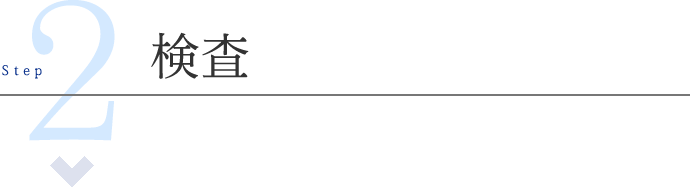 ステップ2：検査