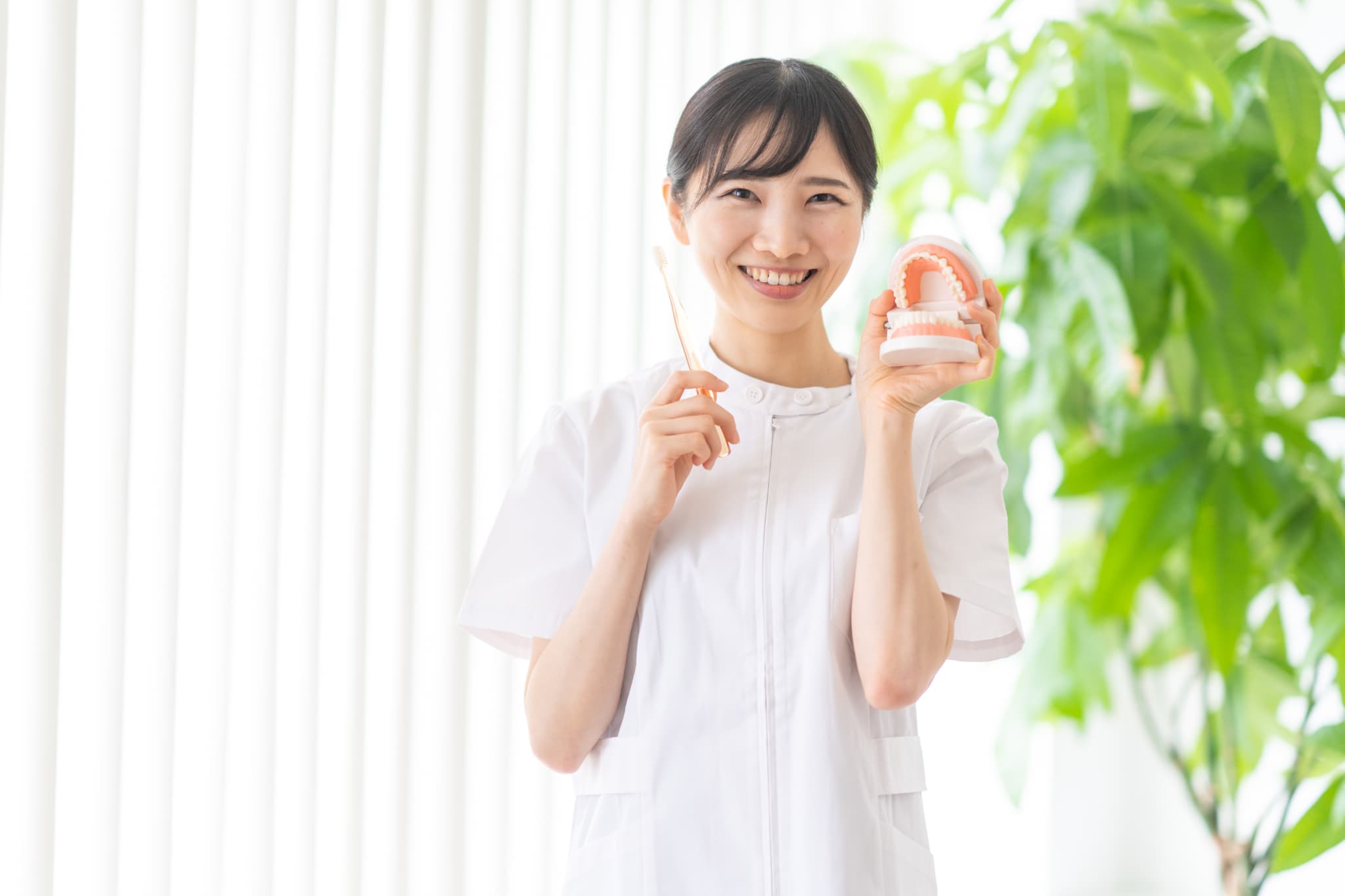 歯の模型と歯ブラシを持ち笑顔の歯科衛生士